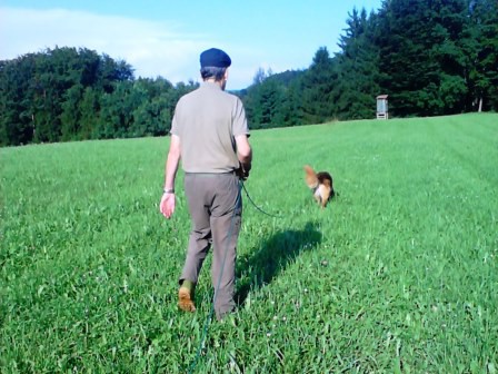 Fährtenarbeit - Hunde haben echte Supernasen!