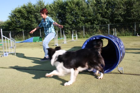 Agility ist Spaß & Herausforderung zugleich!